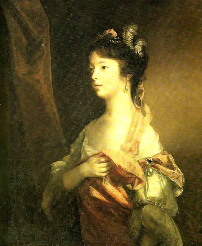 Sir Joshua Reynolds lady charlotte fitzwilliam